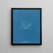Polysiphonia fibrata - Anna Atkins — framed artwork on a wall