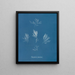 Polysiphonia fructiculosa - Anna Atkins — framed artwork on a wall