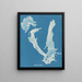 Porphyra vulgaris - Anna Atkins — framed artwork on a wall