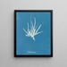 Fine dotted painting - Anna Atkins — framed artwork on a wall