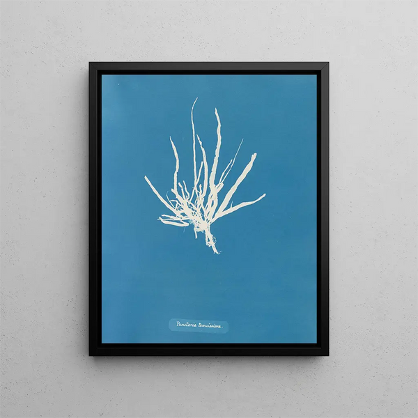 Fine dotted painting - Anna Atkins — framed artwork on a wall