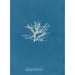 Rhodomela pinastroides - Anna Atkins — artwork view