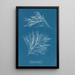 Rhodomela subfusca painting - Anna Atkins — framed artwork on a wall