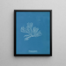 Rhodomenia palmata - Anna Atkins — framed artwork on a wall