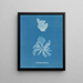 Rhodoménie réniforme painting - Anna Atkins — framed artwork on a wall