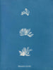 Schizonema comoides - Anna Atkins — artwork view