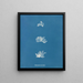Schizonema comoides - Anna Atkins — framed artwork on a wall