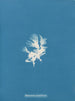 Schizonema parasiticum - Anna Atkins — artwork view