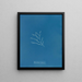 Sporochnus cabrer - Anna Atkins — framed artwork on a wall