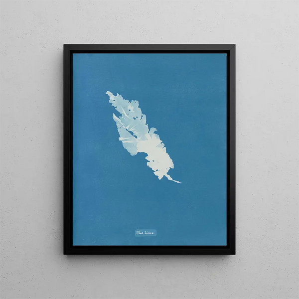 Ulva linza - Anna Atkins — framed artwork on a wall