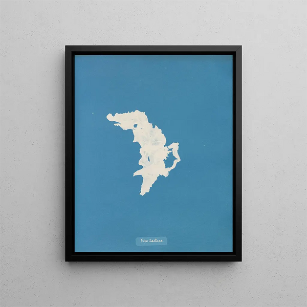 Lettuce - Anna Atkins — framed artwork on a wall