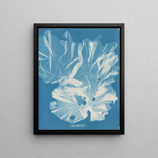 A very large tree - Anna Atkins — framed artwork on a wall