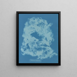 Vaucheria dichotoma - Anna Atkins — framed artwork on a wall