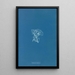 Reproduction of the painting Vaucheria racemosa - Anna Atkins