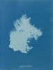 Zygnema courbé - Anna Atkins — artwork view