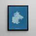 Zygnema courbé - Anna Atkins — framed artwork on a wall