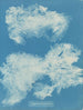 Dîmes de Zygnema - Anna Atkins — artwork view