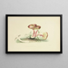 Illustrations of British Mycology Pl05 - Anna Maria Hussey — framed artwork on a wall