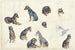 Études d'un chien - Anna Maria Kruijff — artwork view