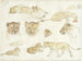Études de van Leeuwen - Anna Maria Kruijff — artwork view