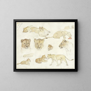 Études de van Leeuwen - Anna Maria Kruijff — framed artwork on a wall