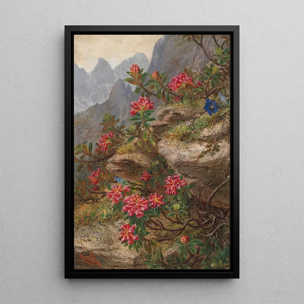 Flowers of the Alps - Anna Stainer-Knittel — framed artwork on a wall
