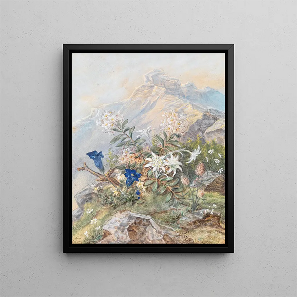 Gentian and Edelweiss - Anna Stainer-Knittel — framed artwork on a wall
