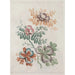 Floral Fantasies - Anne Allen — artwork view