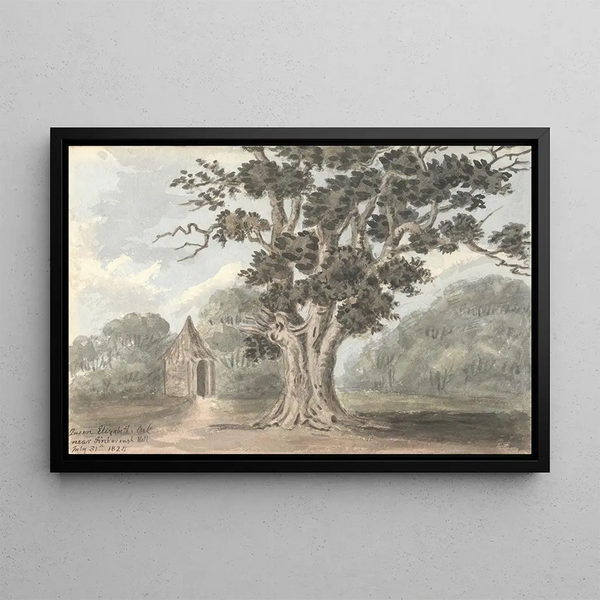 the Queen Elizabeth oak near Finborough Hall July 31, 1824 - Anne Rushout — framed artwork on a wall