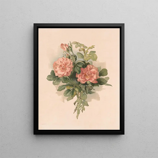 Roses blush - Annie Nowell — framed artwork on a wall