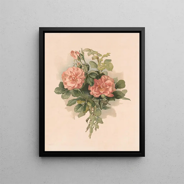 Roses blush - Annie Nowell — framed artwork on a wall
