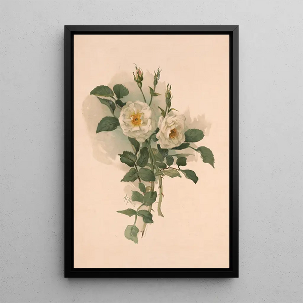 White Roses on Satin - Annie Nowell — framed artwork on a wall