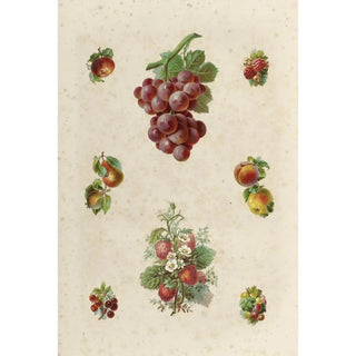 Eight poetic images with fruits - Anonymous — artwork view
