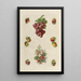 Eight poetic images with fruits - Anonymous — framed artwork on a wall