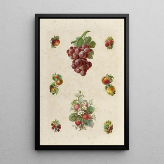 Eight poetic images with fruits - Anonymous — framed artwork on a wall
