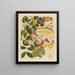 Album of Chinese watercolor paintings of Asian fruits Pl01 - Anonymous — framed artwork on a wall