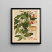 Album of Chinese watercolor paintings of Asian fruits Pl05 - Anonymous — framed artwork on a wall