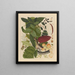 Album of Chinese watercolor paintings of Asian fruits Pl07 - Anonymous — framed artwork on a wall
