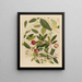 Album of Chinese watercolor paintings of Asian fruits Pl09 - Anonymous — framed artwork on a wall