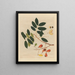 Album of Chinese watercolor paintings of Asian fruits Pl14 - Anonymous — framed artwork on a wall