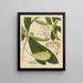 Album of Chinese watercolor paintings of Asian fruits Pl16 - Anonymous — framed artwork on a wall