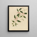 Album of Chinese watercolor paintings of Asian fruits Pl21 - Anonymous — framed artwork on a wall