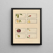 Album of Chinese watercolor paintings of Asian fruits Pl23 - Anonymous — framed artwork on a wall
