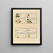 Album of Chinese watercolor paintings of Asian fruits Pl24 - Anonymous — framed artwork on a wall
