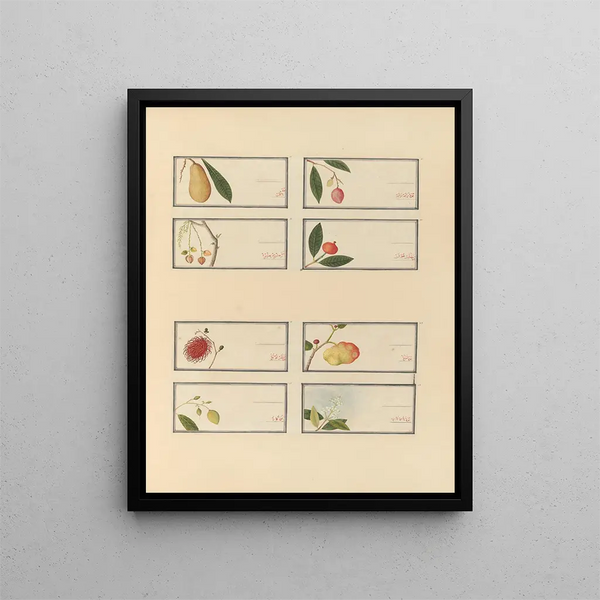 Album of Chinese watercolor paintings of Asian fruits Pl25 - Anonymous — framed artwork on a wall