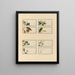 Album of Chinese watercolor paintings of Asian fruits Pl27 - Anonymous — framed artwork on a wall