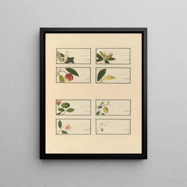 Album of Chinese watercolor paintings of Asian fruits Pl27 - Anonymous — framed artwork on a wall