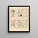 Album of Chinese watercolor paintings of Asian fruits Pl28 - Anonymous — framed artwork on a wall