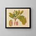 Album of Asian fruit and flower watercolor paintings Pl01 - Anonymous — framed artwork on a wall