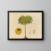 Album of Asian fruit and flower watercolor paintings Pl02 - Anonymous — framed artwork on a wall